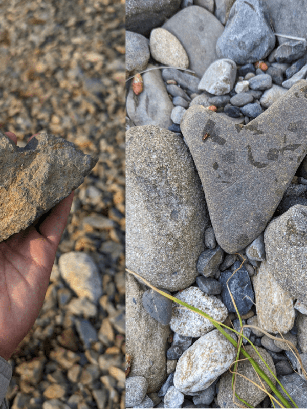 Hearts in Nature, because we all need a lil love nowadays