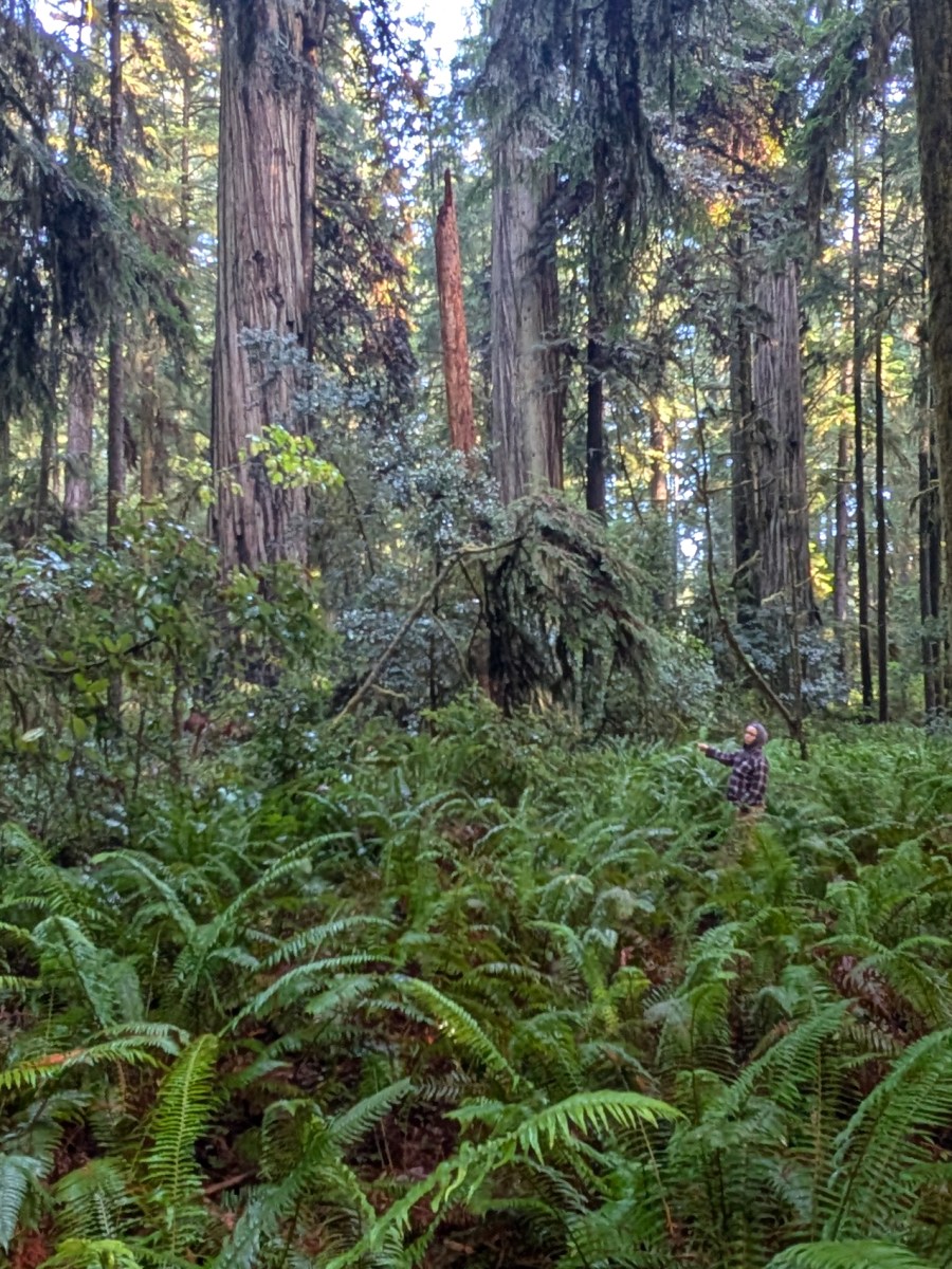 Three months in Humboldt County, CA, what us two Nomadic Naturalists got up to